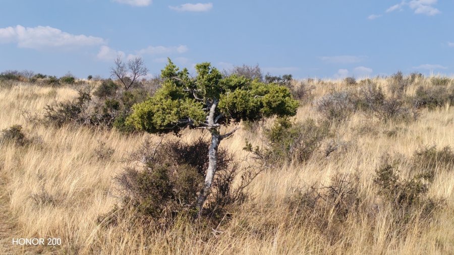 0 Bedroom Property for Sale in Cradock Eastern Cape